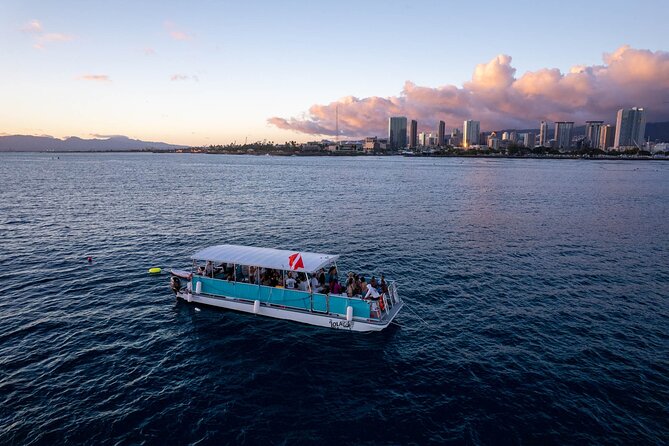 Waikiki Whale Watching Cruise - Group size and what it means for your comfort