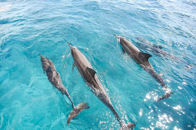 Waikiki's Premier Small Group Sunset Yacht + Tasting - Price and logistics for a $245.30 small-group cruise