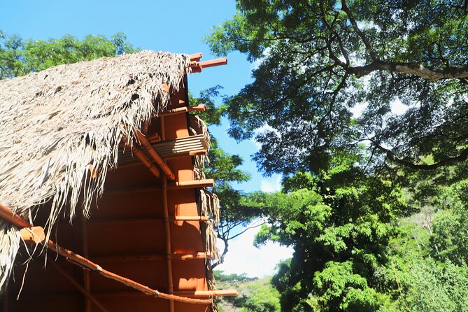 Waimea Valley Waterfall Swim & Dole Plantation Tour with Lunch - Quick Takeaways