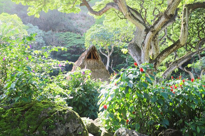 Waimea Valley Waterfall Swim & Dole Plantation Tour with Lunch - Green World Coffee Farms: Start Soft, Get Local