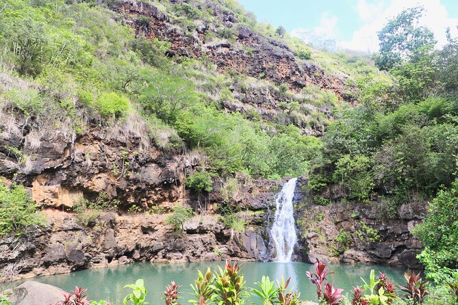 Waimea Valley Waterfall Swim & Dole Plantation Tour with Lunch - Lunch in the Valley: Wrap Choices That Actually Keep You Going