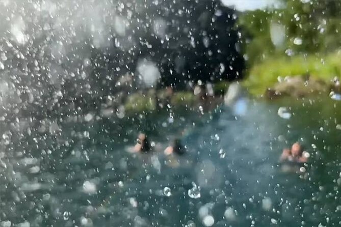Waimea Valley Waterfall Swim & Dole Plantation Tour with Lunch - Price and What You Get for $120.60