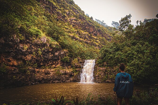 Waterfall Hike in Hawai'i Rainforest Trail - Lulumahu Waterfall: When the Trail Finally Opens Up
