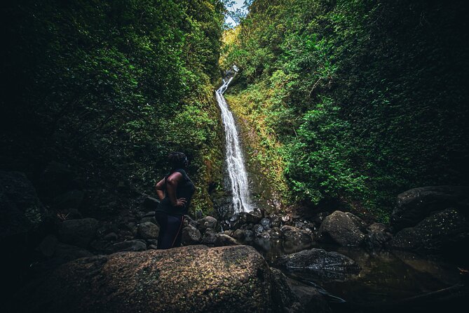 Waterfall Hike in Hawai'i Rainforest Trail - Weather Reality: When the Rain Controls the Plan