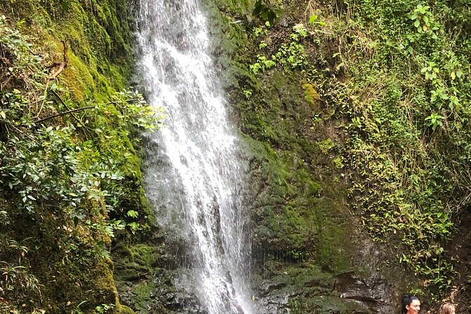 Waterfall Hike , Sightseeing & East Side Beach Day - Key Highlights Worth Marking on Your Day