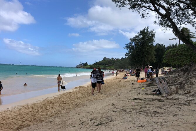 Waterfall Hike , Sightseeing & East Side Beach Day - Weather-Driven Route Changes That Keep the Day on Track