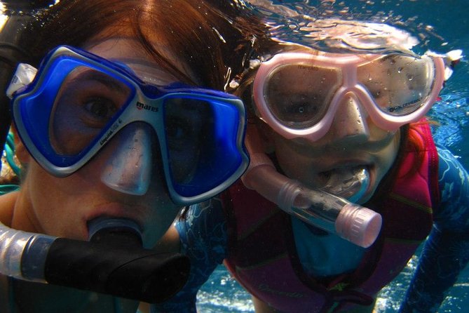 West Oahu Afternoon Turtle Snorkel Sail - The Snorkel Stop: How They Choose the Reef and Why That Helps