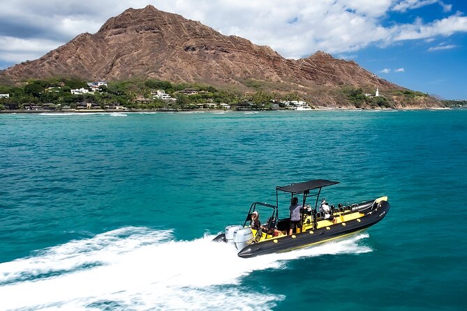 Whale Watching Adventure -Speed Boat & Small Group - Waikiki and Diamond Head views from the water
