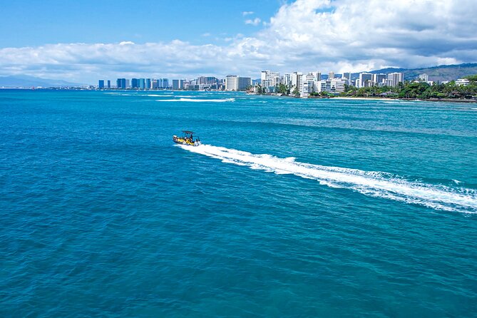 Whale Watching Adventure -Speed Boat & Small Group - Planning the day: where to meet and what to bring