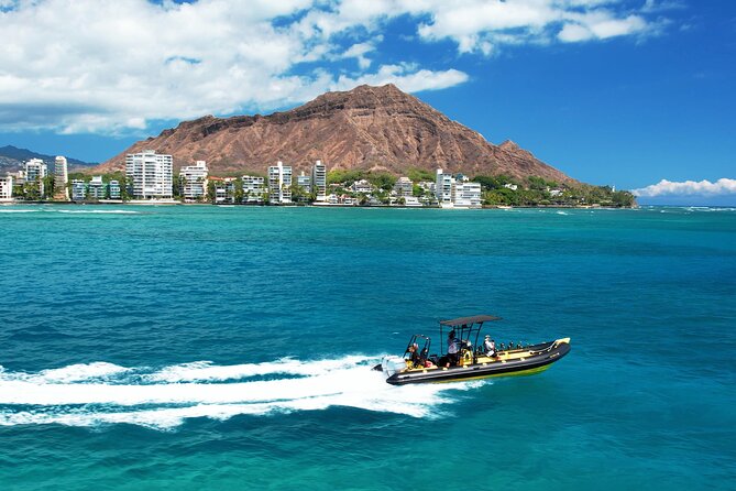 Whale Watching Adventure -Speed Boat & Small Group - Kewalo Basin and the cruise plan you’ll actually feel