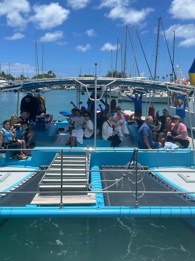 Whale Watching Cruise in Waikiki Oahu - SEE THE HUMPBACKS! - Who this cruise is best for (and who should think twice)