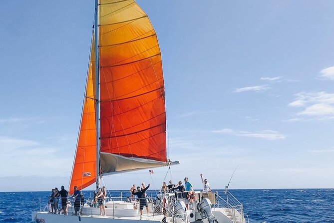 Whale Watching Sail in Honolulu with Open Bar - What the 1.5-hour sail actually feels like on board