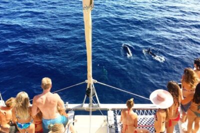 Whale Watching Sail in Honolulu with Open Bar - Meeting point and beach boarding: how to avoid the usual shoreline hassle