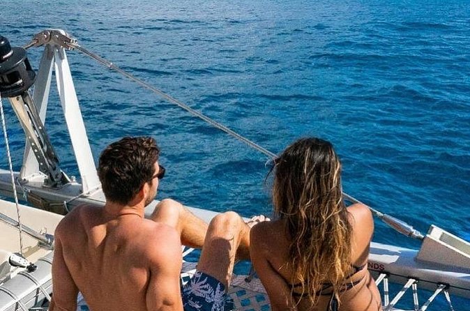 Whale Watching Sail in Honolulu with Open Bar - Value check: is $49 for Honolulu whale watching actually a smart deal?