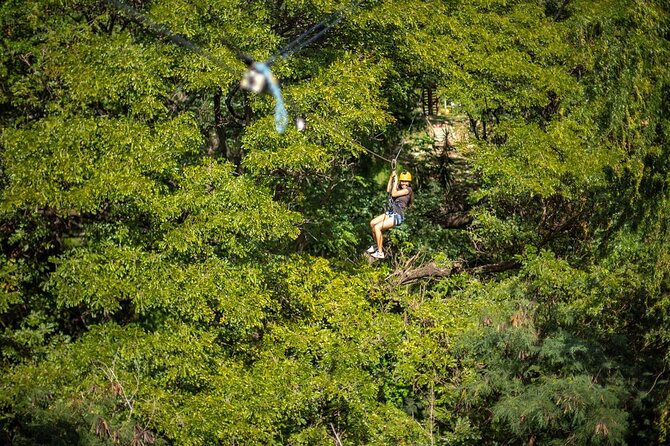 Zip & Dip: Zipline and Wet 'n' Wild Waterpark Combo - Getting There, Staying Comfortable: Pickup, Small Group, and Timing