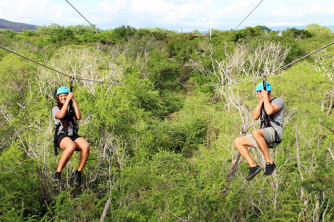 Zip & Dip: Zipline and Wet 'n' Wild Waterpark Combo - Price and Value: What $176.03 Really Buys